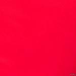 Фото пользователя