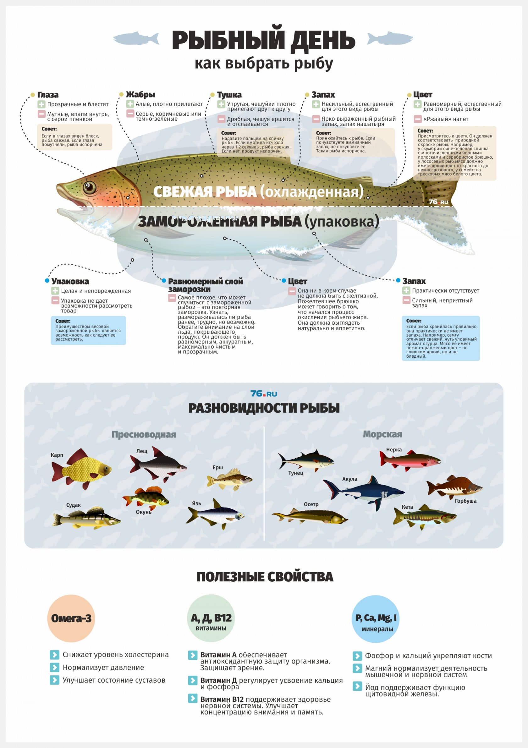 О чем молчит рыба: секреты и тайны рыбного производства - 10 ноября 2017 -  76.ру