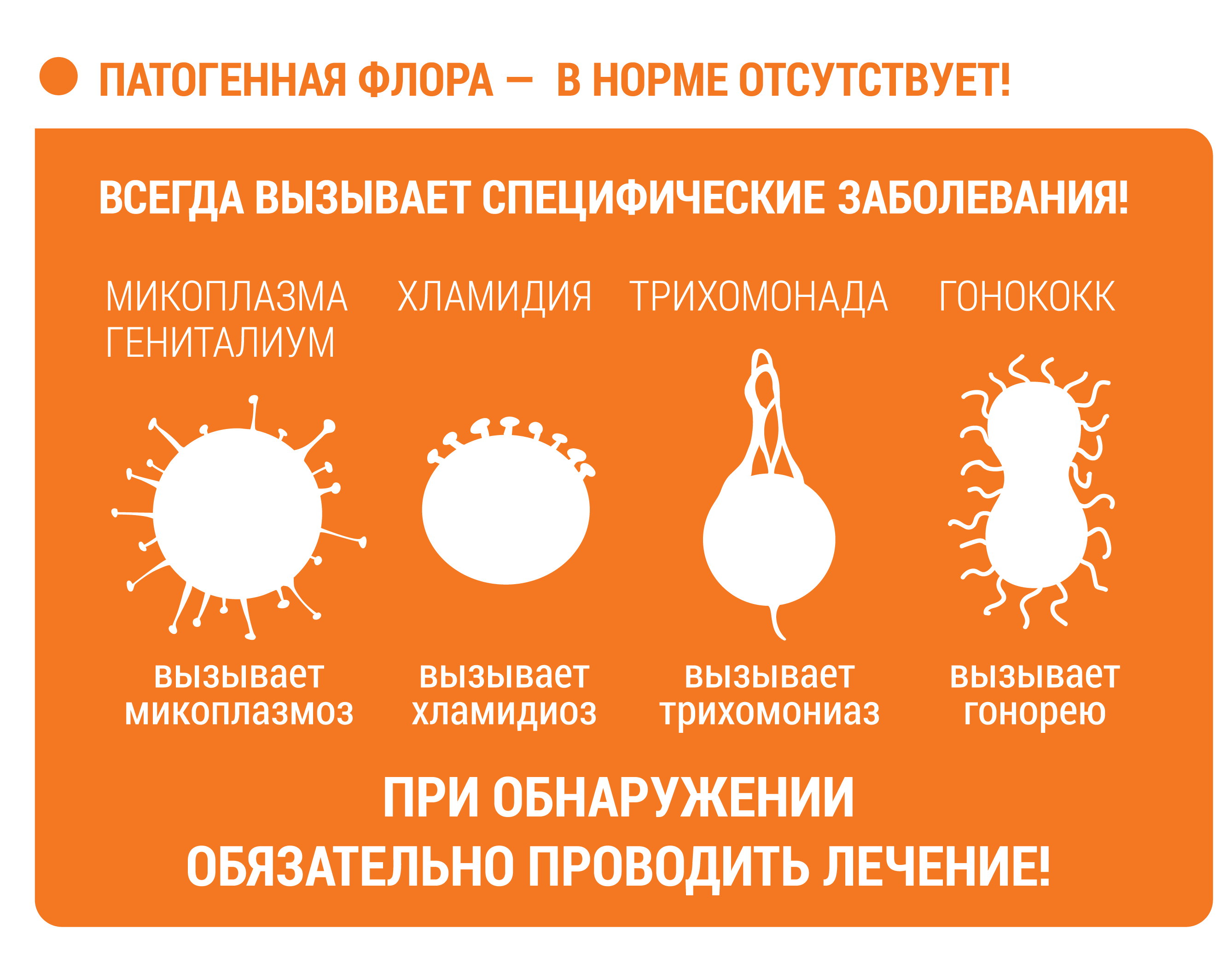 Любовь с уверенностью: предупредить, проверить, обезвредить - 27 ноября  2017 - 74.ру