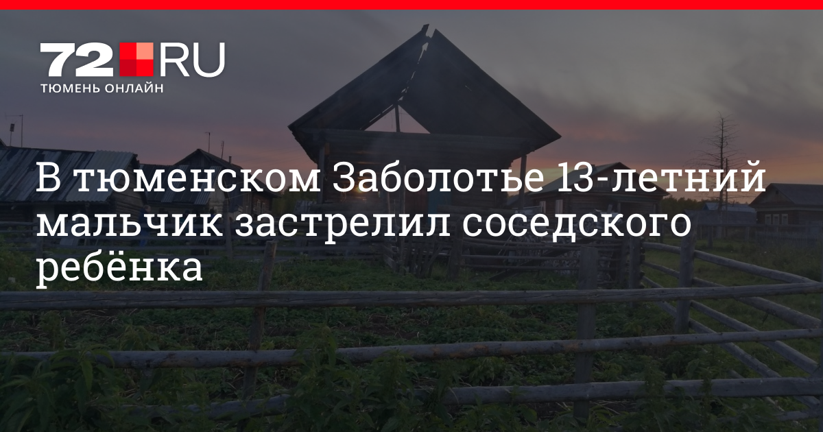 В компании соседского мальчика