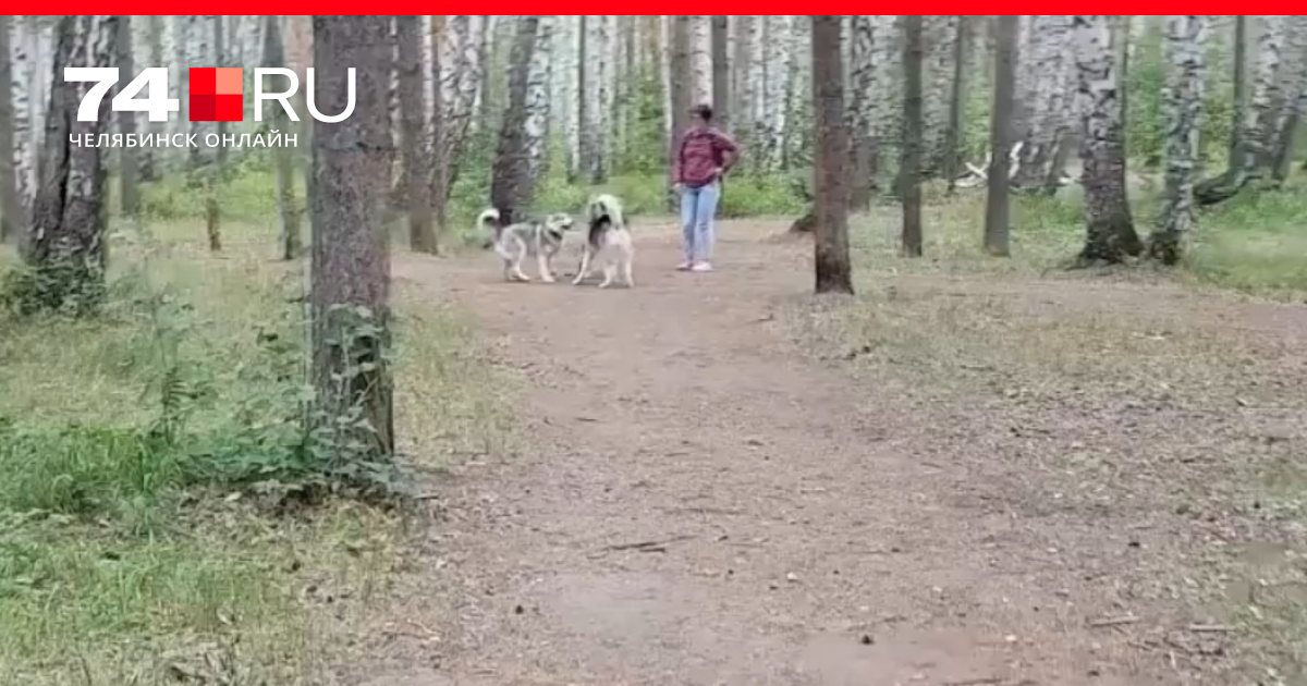 Секс С Собак Рассказать