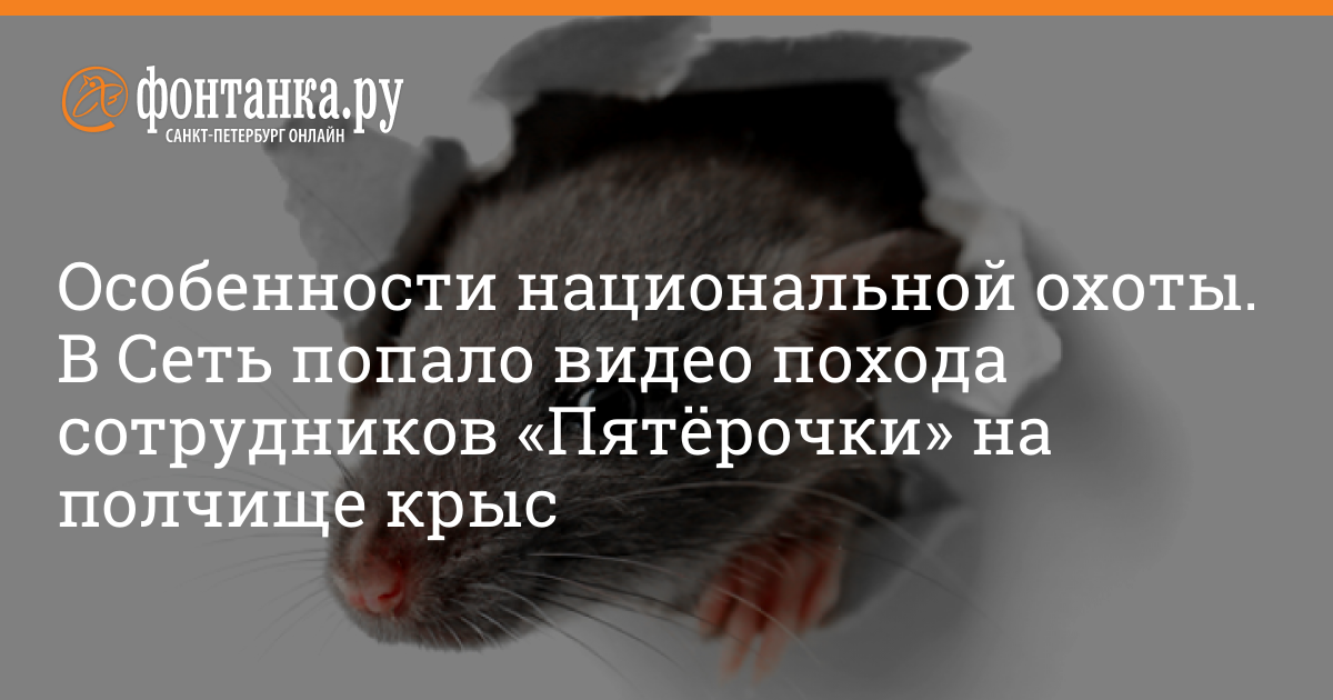 Книга как быть крысой. Книга как быть крысой