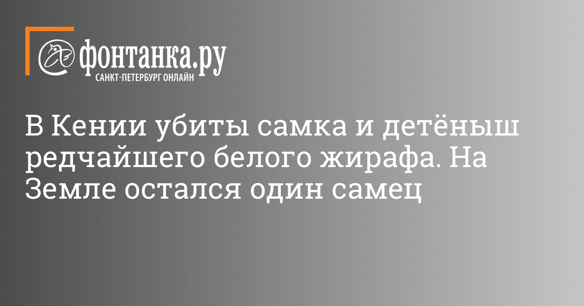 В Кении убиты самка и детёныш редчайшего белого жирафа. На Земле остался один самец