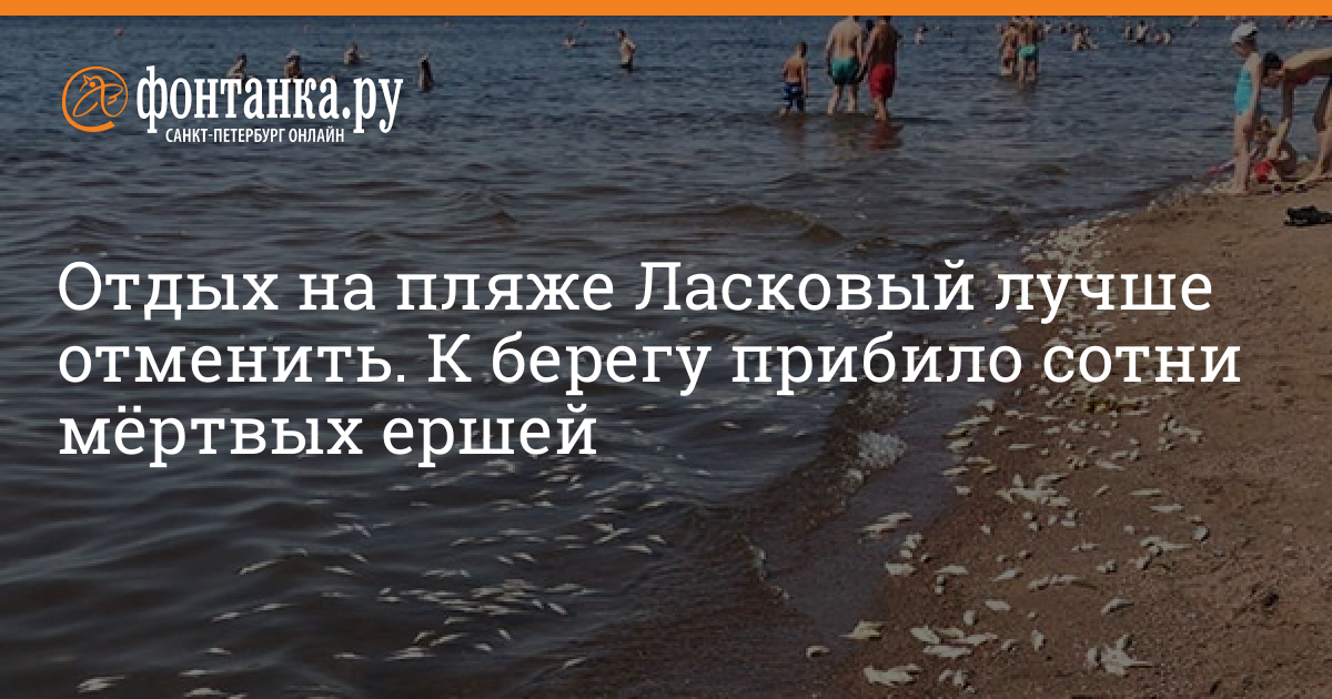 Фото Стоячих На Пляже Фото Стоячих На Пляже