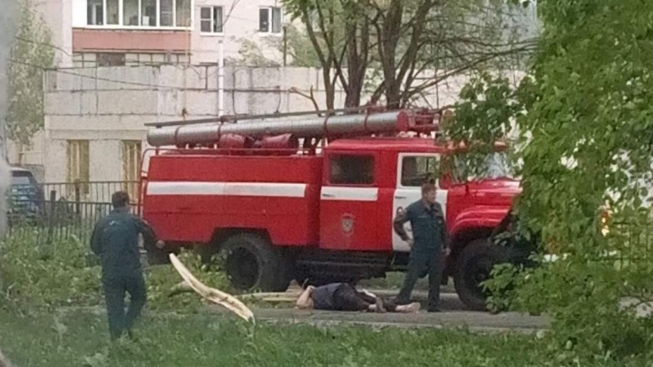 Чиновников из Полевского засудили на крупную сумму за гибель женщины от упавшего дерева