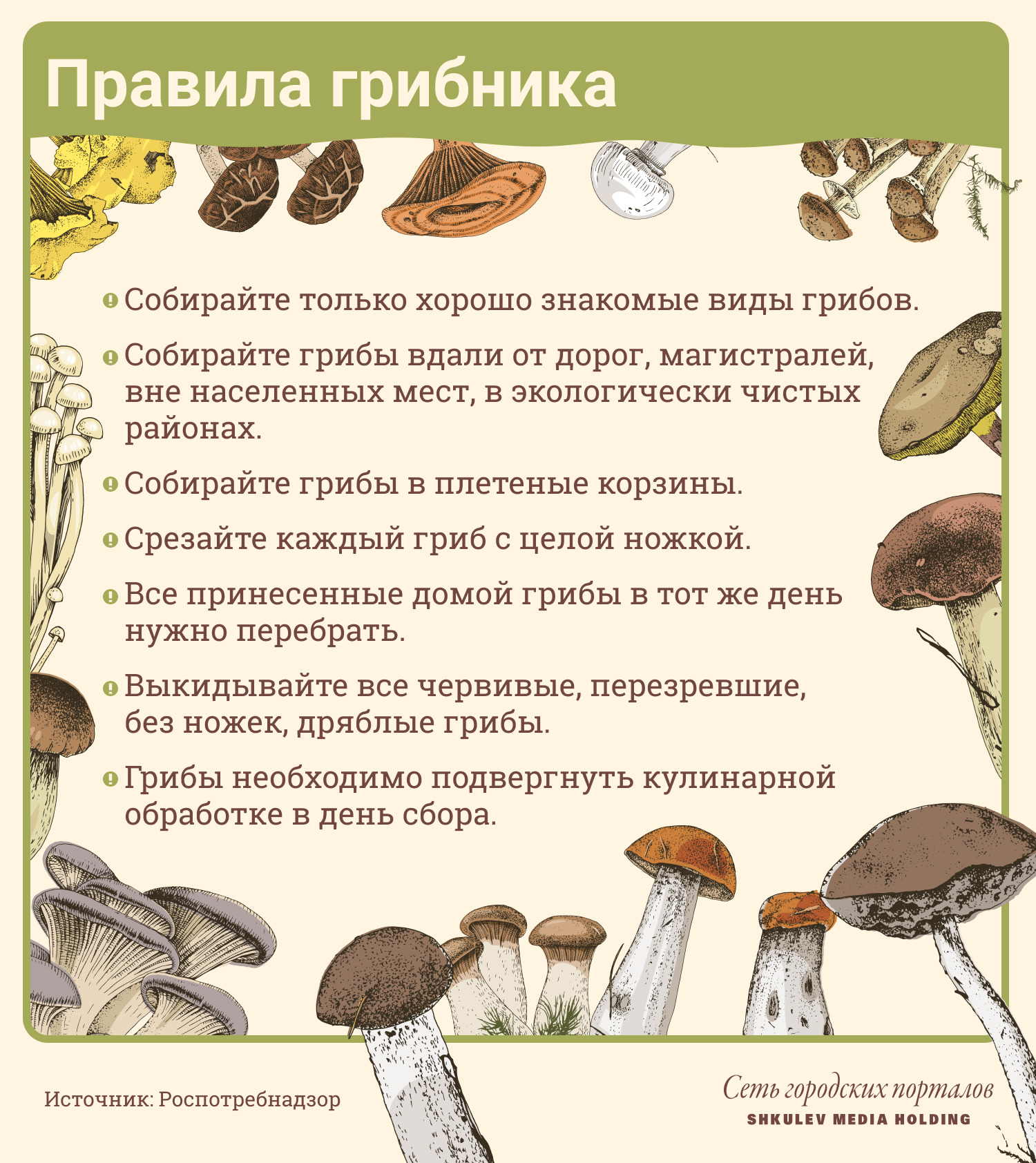 Роспотребнадзор рекомендует соблюдать эти простые правила, когда будете собирать грибы самостоятельно