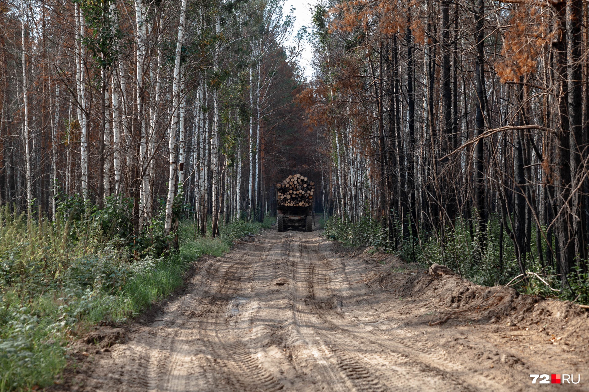 Дмитрий Александрович ездил в лес вместе с лесниками и простыми мужиками, чтобы тушить пожар
