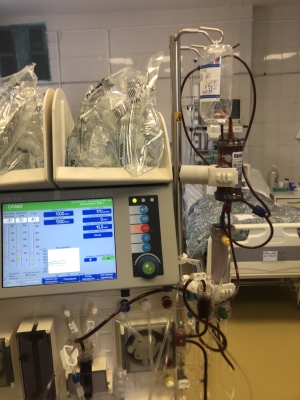 Колонка CytoSorb помогла очистить кровь больной от отравлявших кровь воспалительных агентов Колонка CytoSorb помогла очистить кровь больной от отравлявших кровь воспалительных агентов