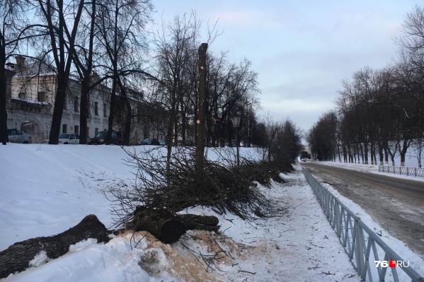 Выглядит печально Выглядит печально