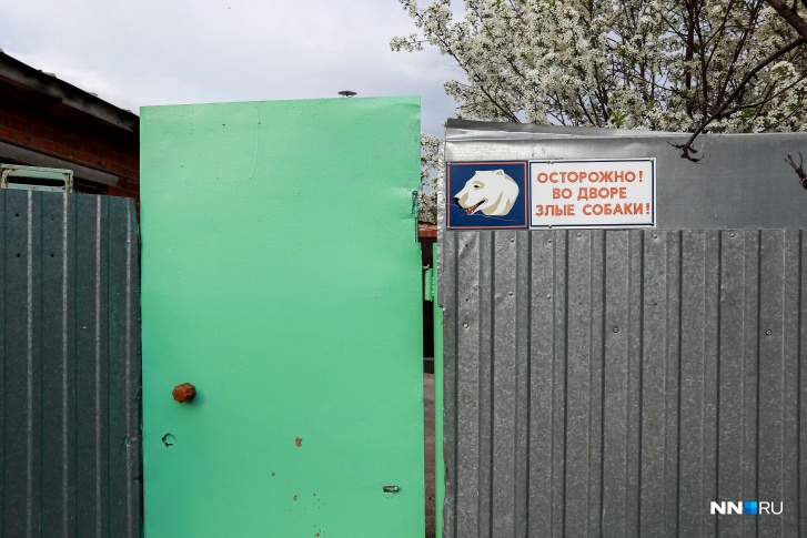 Бешенство, которым было заражено животное, при отсутствии своевременной вакцинации может привести человека к мучительной и неотвратимой смерти Бешенство, которым было заражено животное, при отсутствии своевременной вакцинации может привести человека к мучительной и неотвратимой смерти