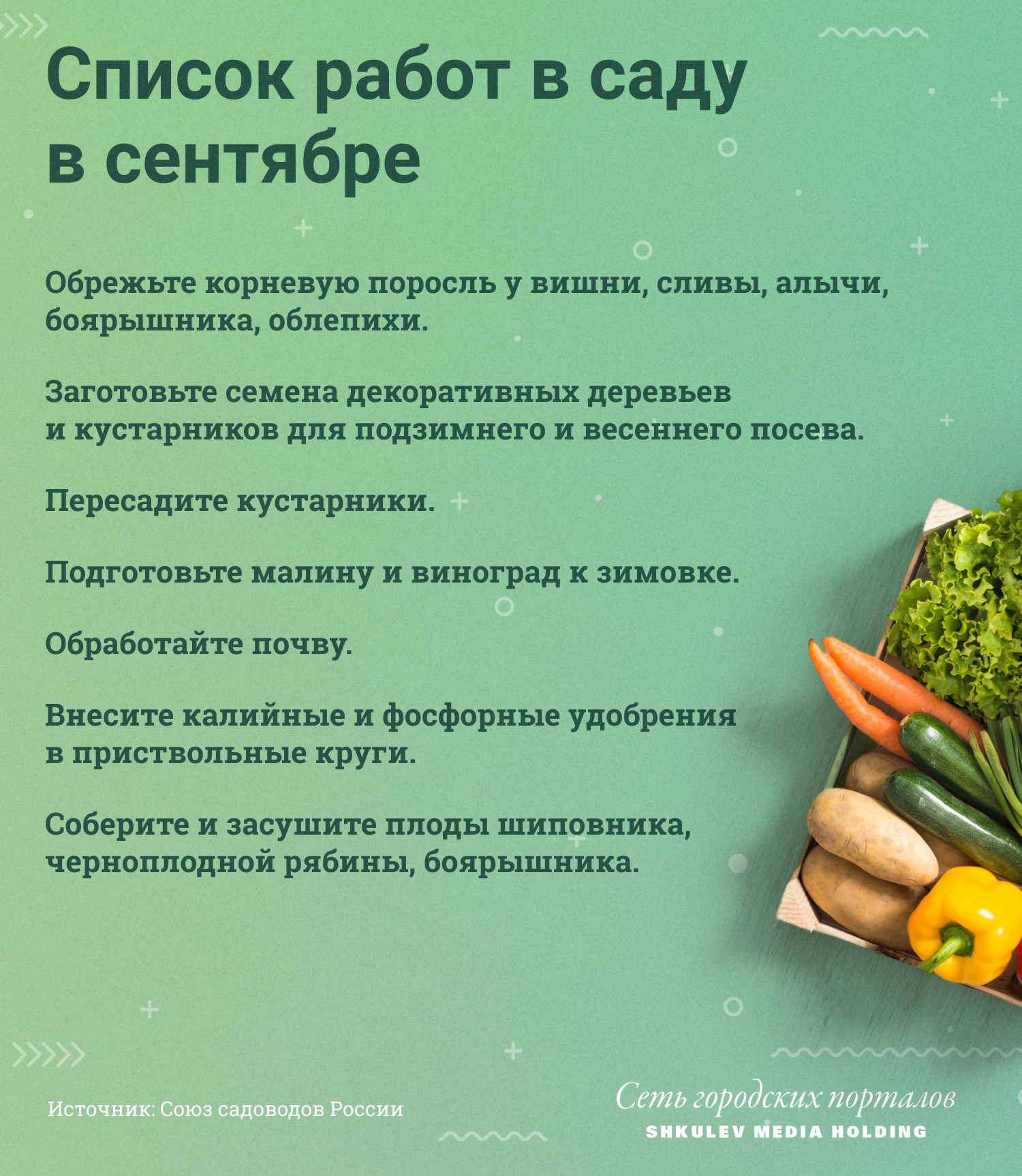 Список садовых работ для второй половины сентября