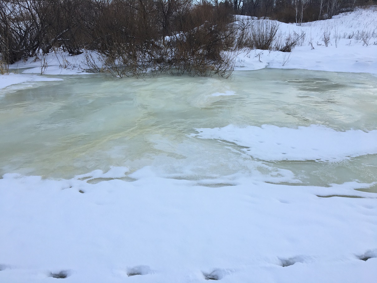 Водный курган. Река Тобол загрязнение. Водное загрязнение Курган. Загрязненные воды в Кургане. Загрязнение воды в Кургане.