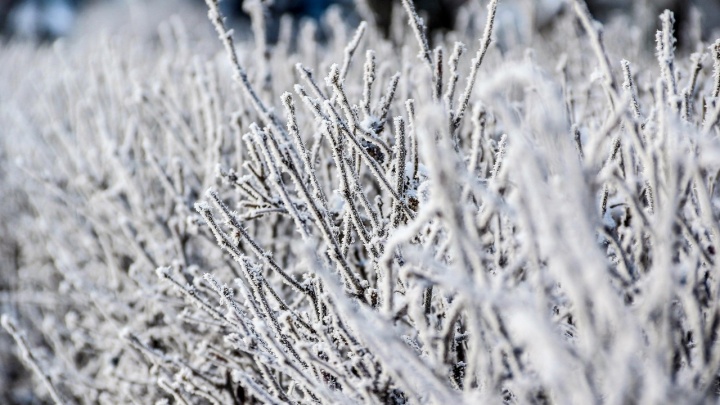 МЧС предупреждает о возможных ЧС в Нижнем Новгороде из-за морозов до -36 °С