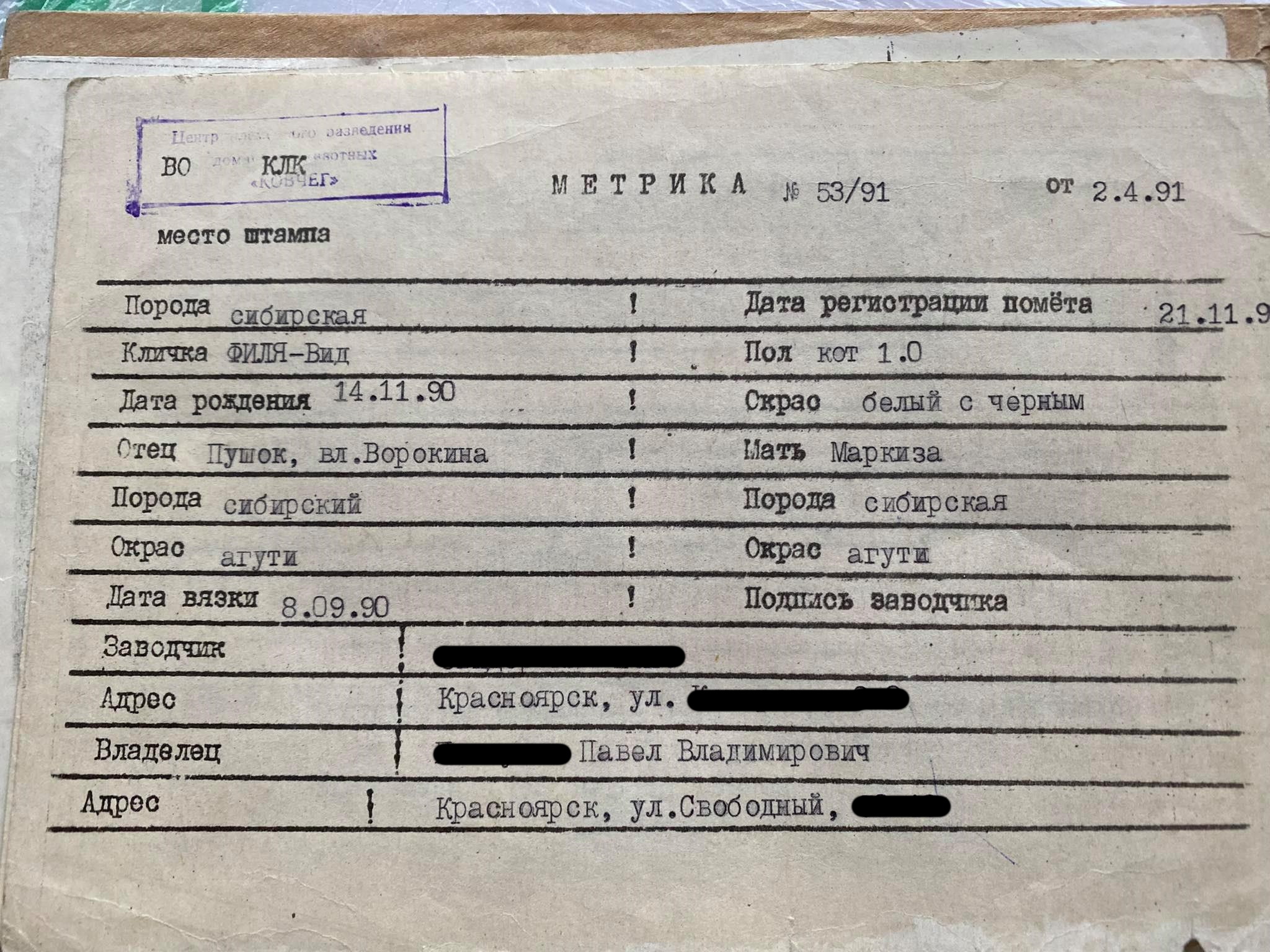 Вот такие карты выдавали владельцам кошек. 1991 год. Вот такие карты выдавали владельцам кошек. 1991 год.