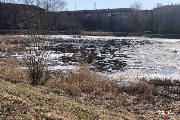 Сквозь воду просматривается дно карьера Сквозь воду просматривается дно карьера