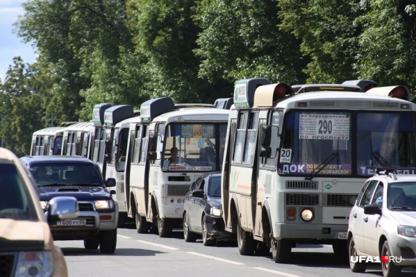 Власти планируют добавить 19 новых автобусов Власти планируют добавить 19 новых автобусов