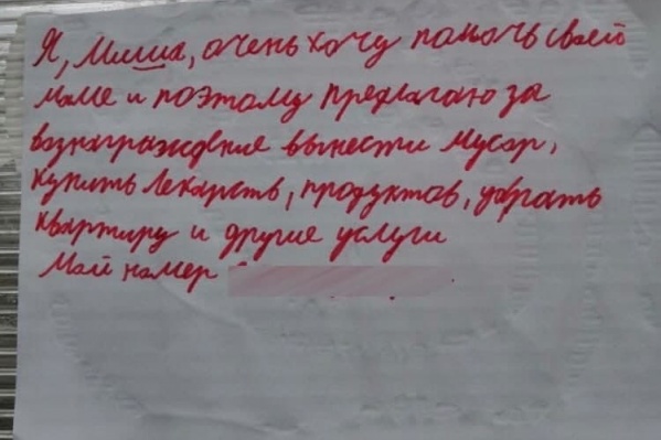 Миша говорит, что может помогать с 09:00 до 12:00. В 13:00 начинаются занятия Миша говорит, что может помогать с 09:00 до 12:00. В 13:00 начинаются занятия