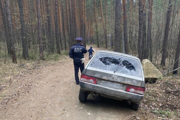 Нарушителей инспекторы ГИБДД поймали в лесу Нарушителей инспекторы ГИБДД поймали в лесу