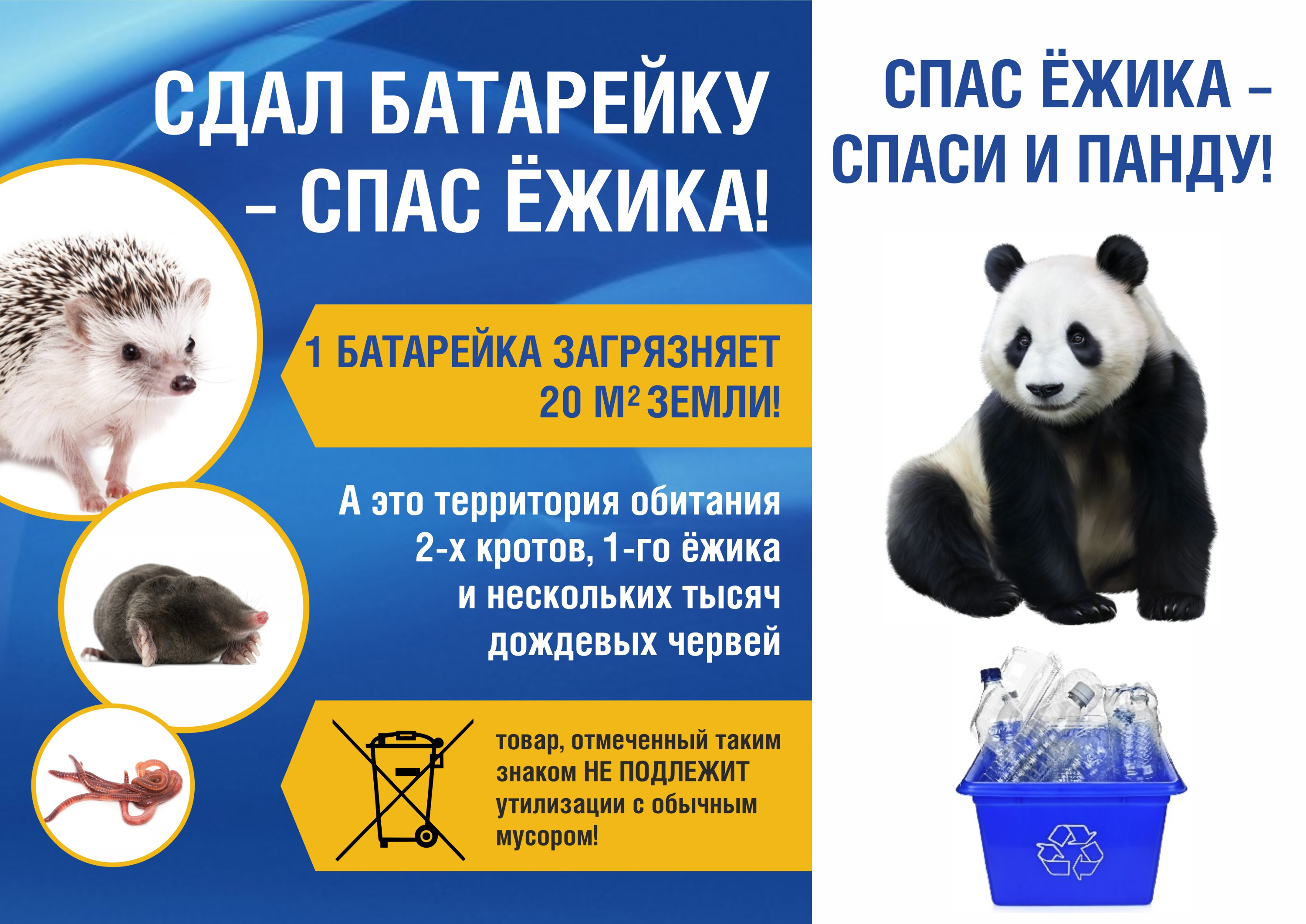 Спаси ежика сдай батарейку картинки