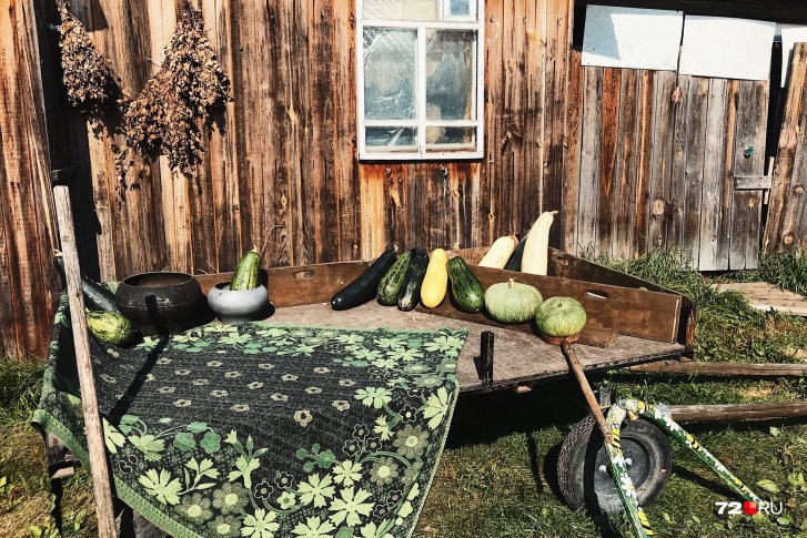 Этой весной желающих арендовать дачу в пригороде Тюмени гораздо больше, чем тех, кто готов сдать участок во временное пользование Этой весной желающих арендовать дачу в пригороде Тюмени гораздо больше, чем тех, кто готов сдать участок во временное пользование