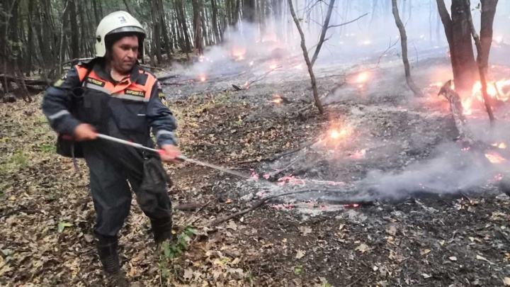 Из-за крупного лесного пожара в Борском районе объявлена чрезвычайная ситуация
