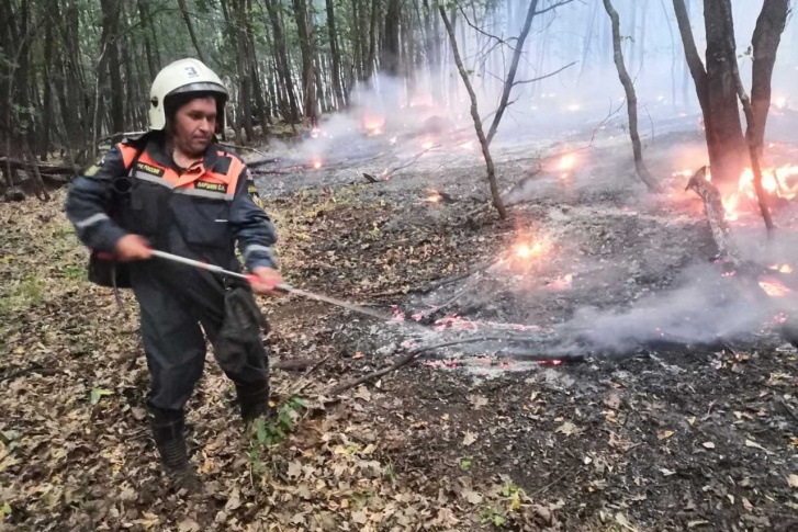 Пожарные борются с огнем второй день