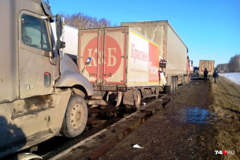 Виновником ДТП признан водитель капотного грузовика Freightliner (на снимке видна его кабина) Виновником ДТП признан водитель капотного грузовика Freightliner (на снимке видна его кабина)