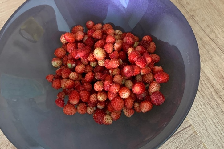 Сахарить такие ягоды не обязательно — и так сладкие