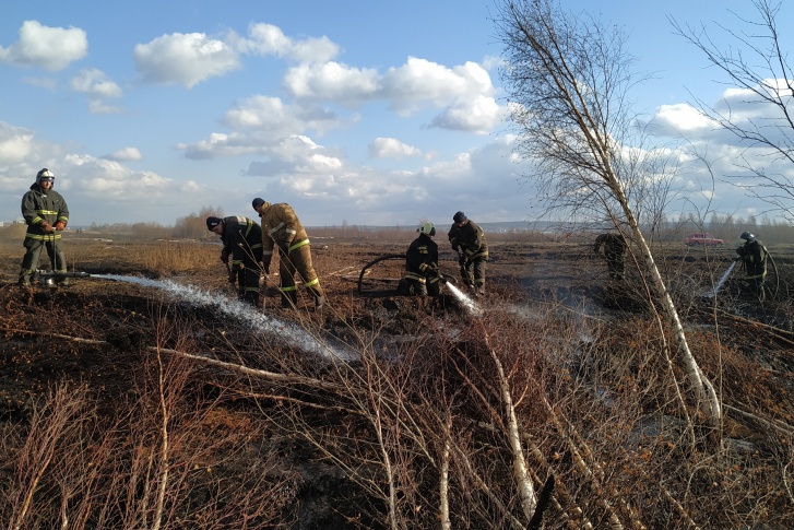 Пожарные продолжают проливать тлеющий торфяник Пожарные продолжают проливать тлеющий торфяник