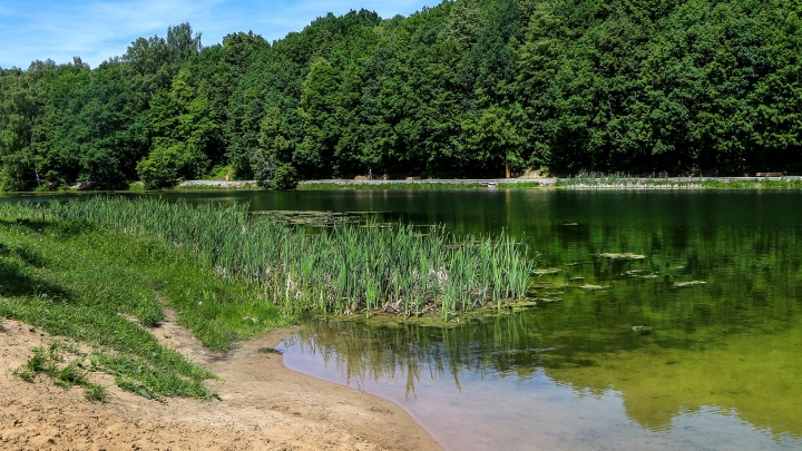 На озере Щелоковского хутора утонул мужчина. Его тело оказалось на пляже, но отдыхающие продолжили купаться