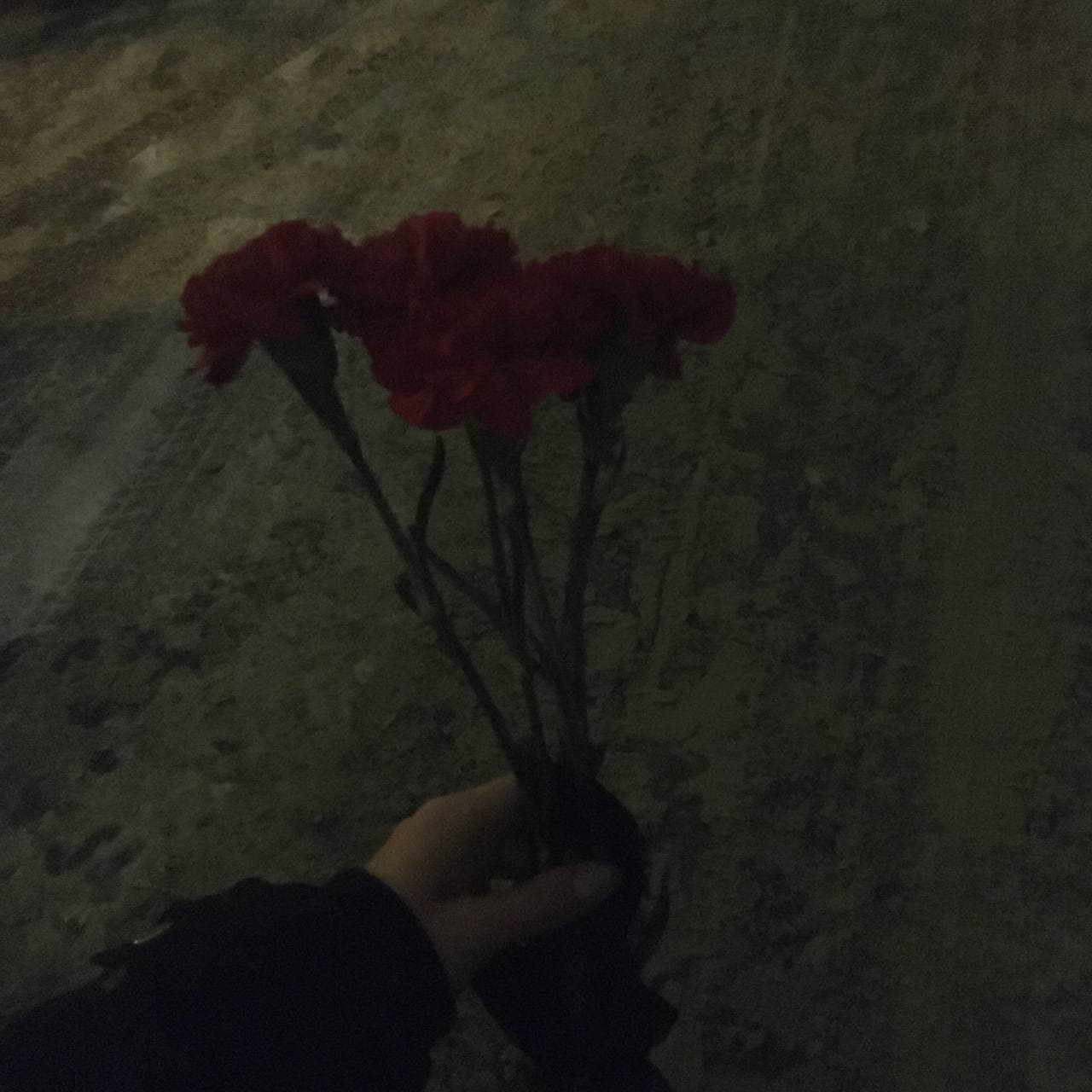 К Центральному районному суду тоже приносили цветы<br> К Центральному районному суду тоже приносили цветы<br>