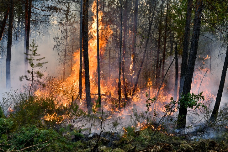 В округе действуют 22 лесных пожара
