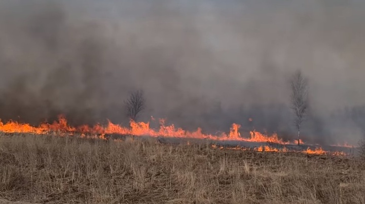 «Зарево горящих полей»: Ярославскую область охватили пожары