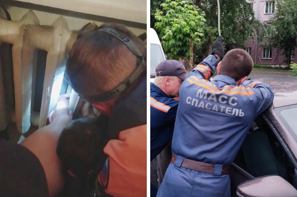 Во всех перечисленных случаях медицинская помощь детям не потребовалась Во всех перечисленных случаях медицинская помощь детям не потребовалась
