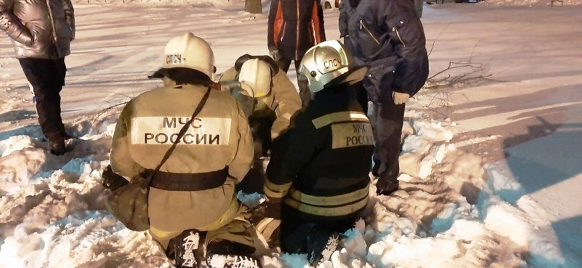 Собаку спасли за пять минут Собаку спасли за пять минут