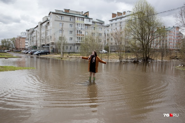 В Ярославле затопило улицу В Ярославле затопило улицу 