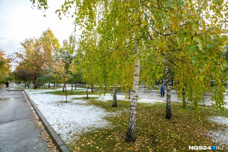 Листья со снегом — такую картину увидим уже на этой неделе