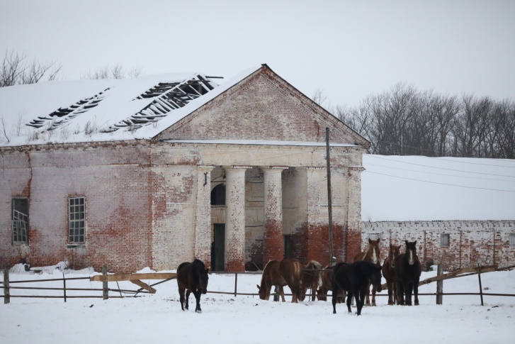 Починковский государственный конный завод — самый старый в России из существующих