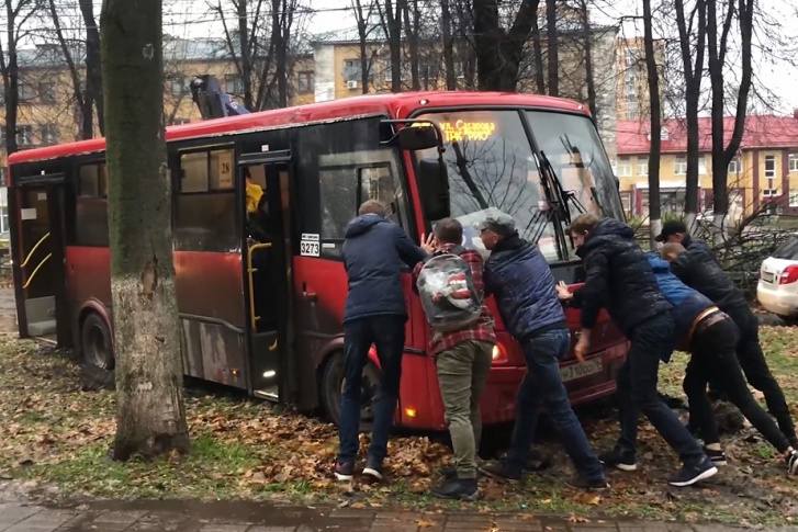 Автобус решил вслед за остальными водителями объехать упавшее дерево через тротуар Автобус решил вслед за остальными водителями объехать упавшее дерево через тротуар