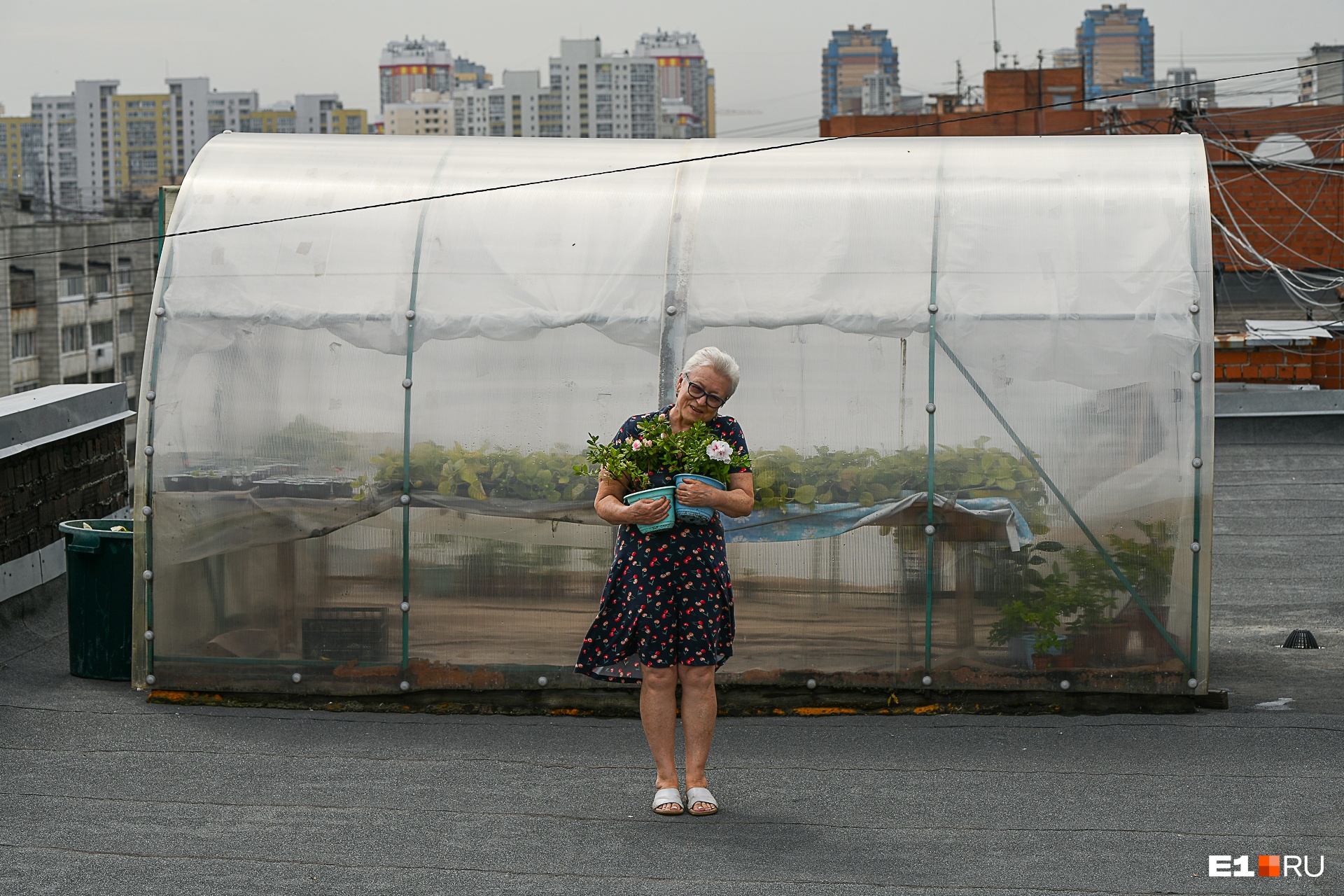 «Свой первый сорт назвала "сашенька"»: пенсионерка, всю жизнь создает цветы в память о погибших детях