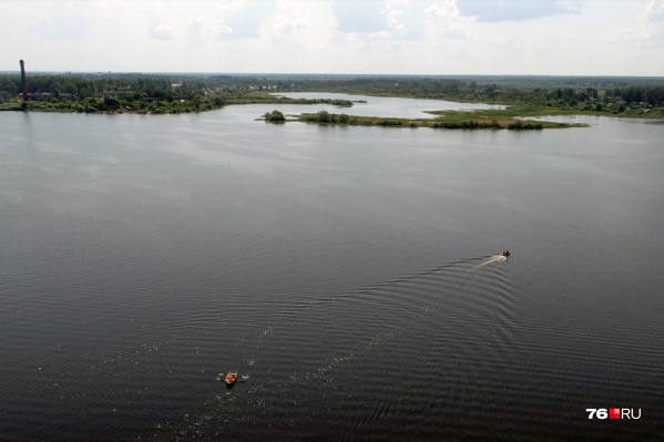 Завод на берегу водохранилища грозил погубить экосистему Волги Завод на берегу водохранилища грозил погубить экосистему Волги