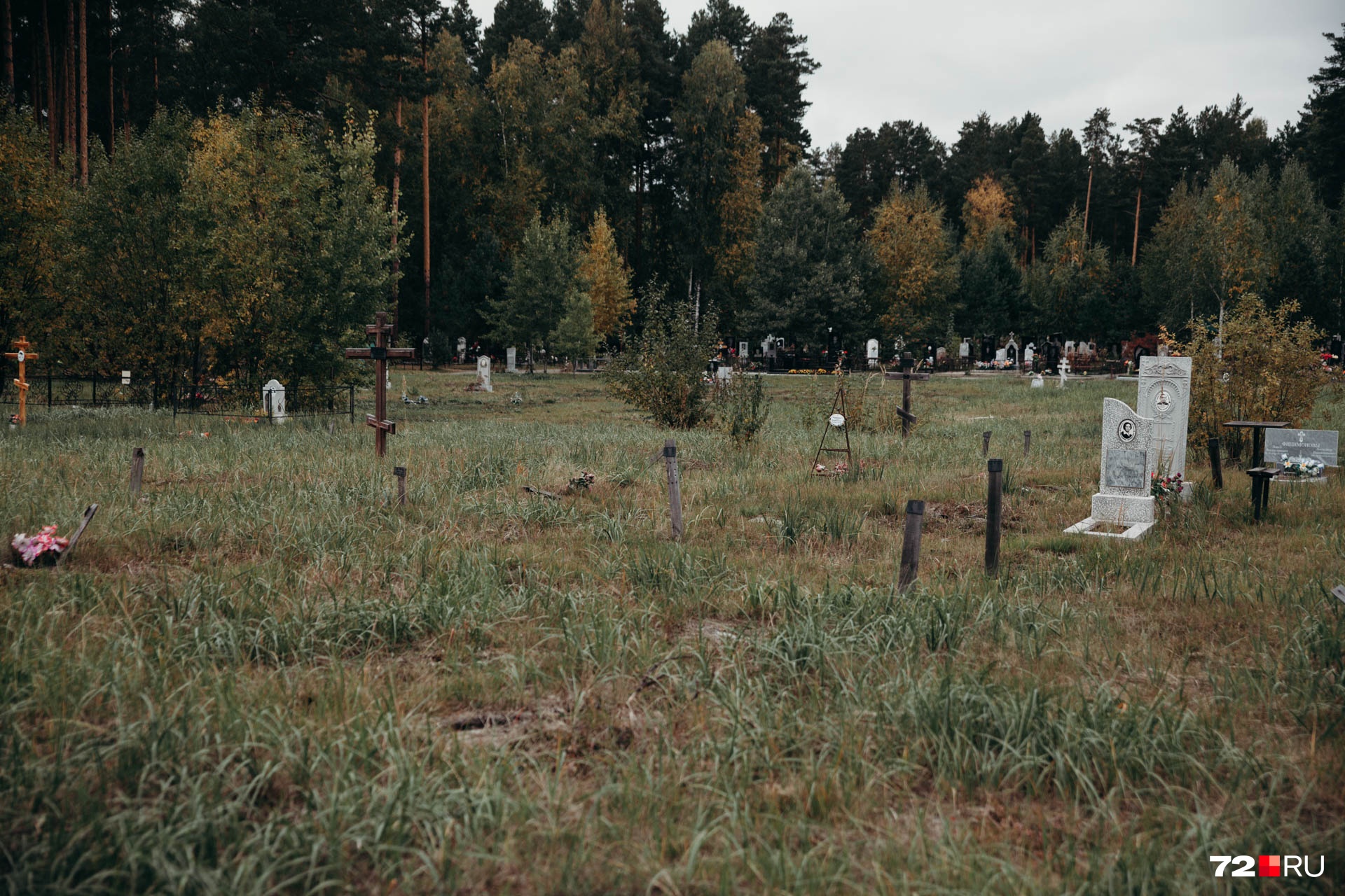 На Червишевском кладбище — несколько секторов для невостребованных тел. Участок на фото уже переполнен, сейчас там никого не хоронят