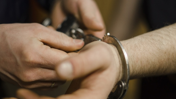 «Укусил за руку»: разбираемся с юристом, что грозит школьнику из Новодвинска за драку с полицейскими