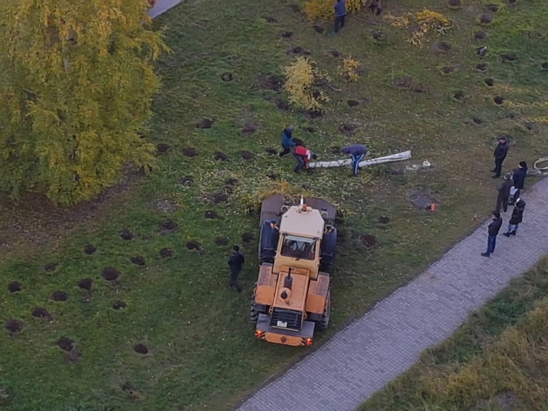 Строители уже уничтожили в Нижневартовске десятки деревьев