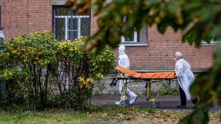 За неделю в Ярославской области 20 человек умерло от коронавирусной инфекции