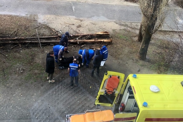 По словам очевидцев с места ЧП, волгоградку забирали с открытой черепно-мозговой травмой По словам очевидцев с места ЧП, волгоградку забирали с открытой черепно-мозговой травмой