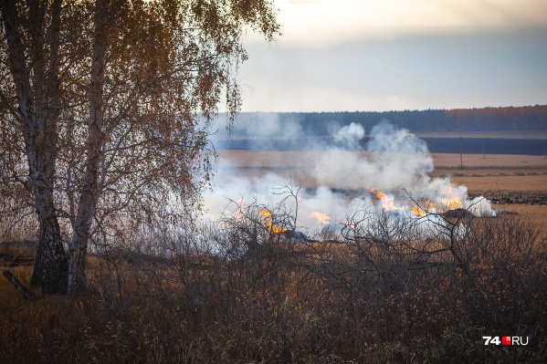 Власти Белозерского района говорят, что угрозы поселкам от лесного пожара нет Власти Белозерского района говорят, что угрозы поселкам от лесного пожара нет