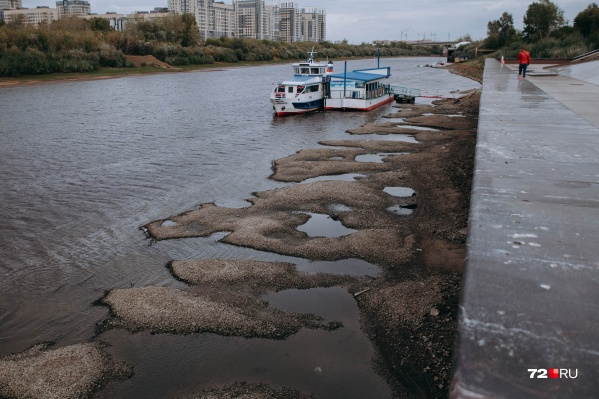 Вид с набережной в сторону заречных микрорайонов — вода ушла настолько, что появились островки Вид с набережной в сторону заречных микрорайонов — вода ушла настолько, что появились островки