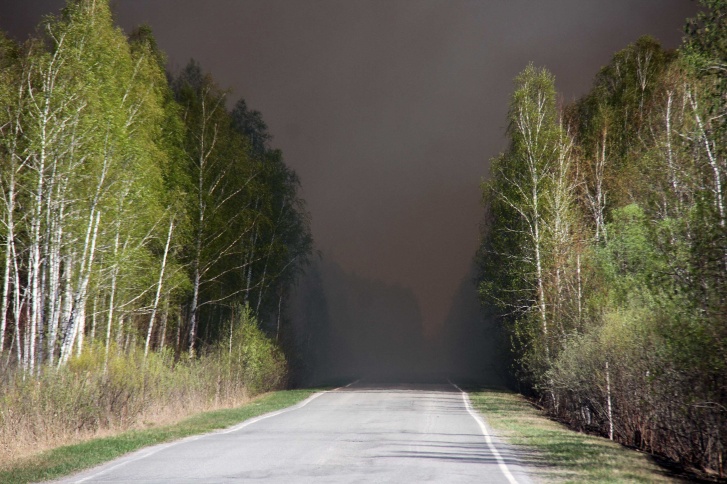 Последствия таких пожаров губительны для природы и для животных Последствия таких пожаров губительны для природы и для животных 