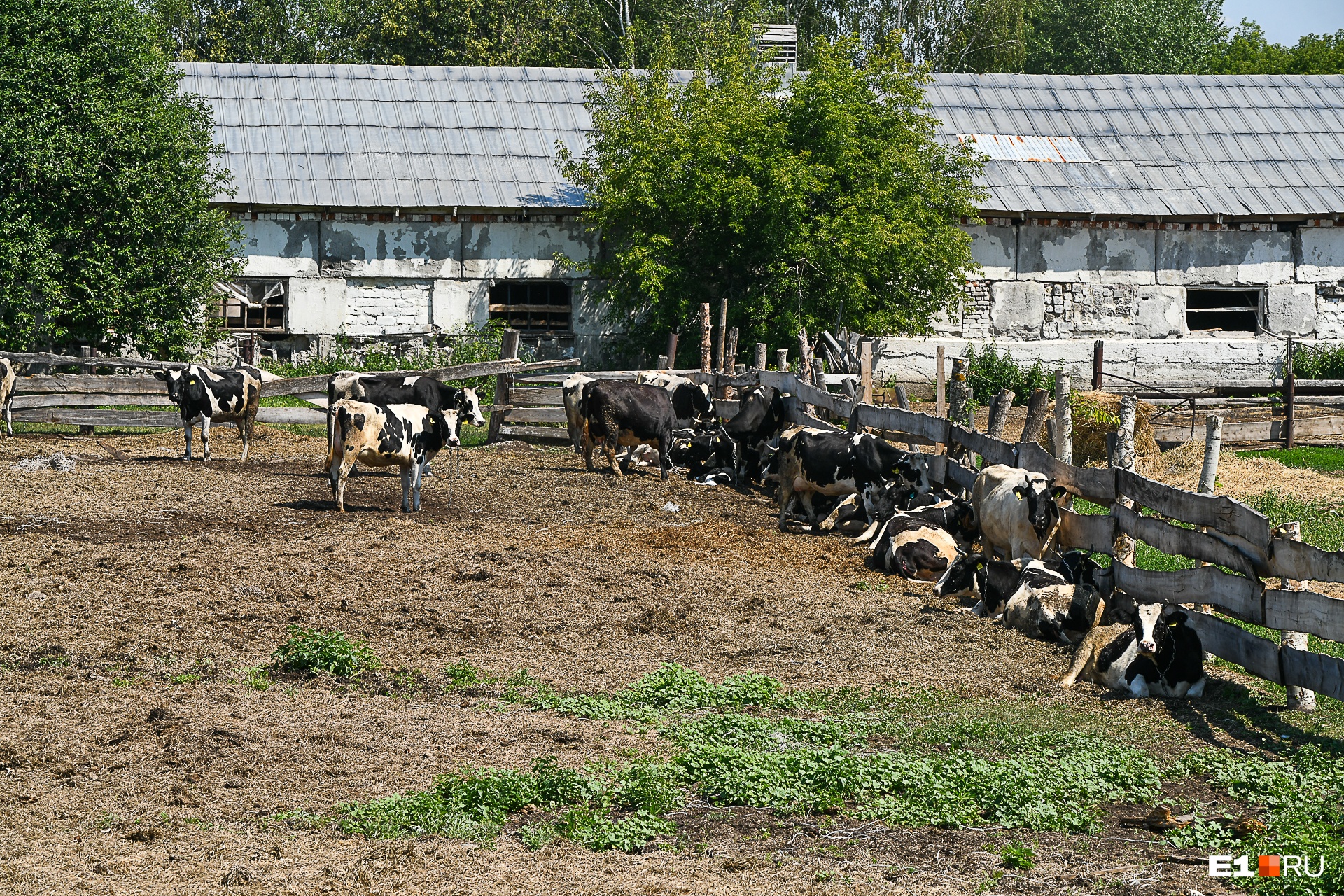 Сельхозпредприятие работает в Тавре с советского времени